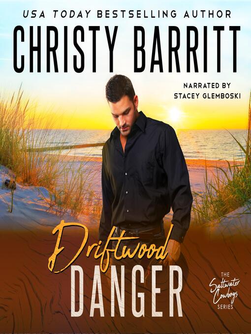 Title details for Driftwood Danger by Christy Barritt - Wait list